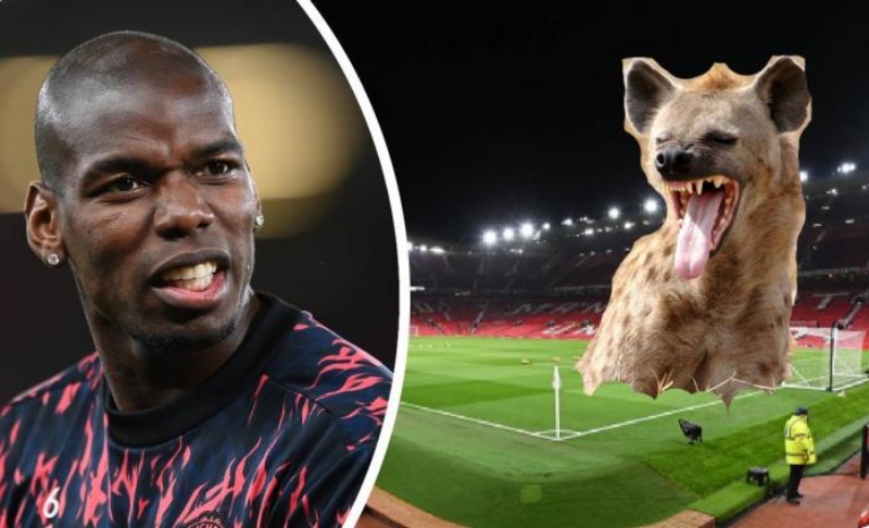 Pogba và nghi án kì bí. 